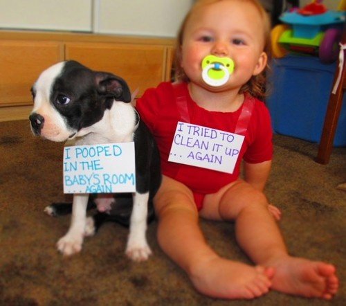 Dog Shaming. .. People calling themselves mommy and daddy to their pets