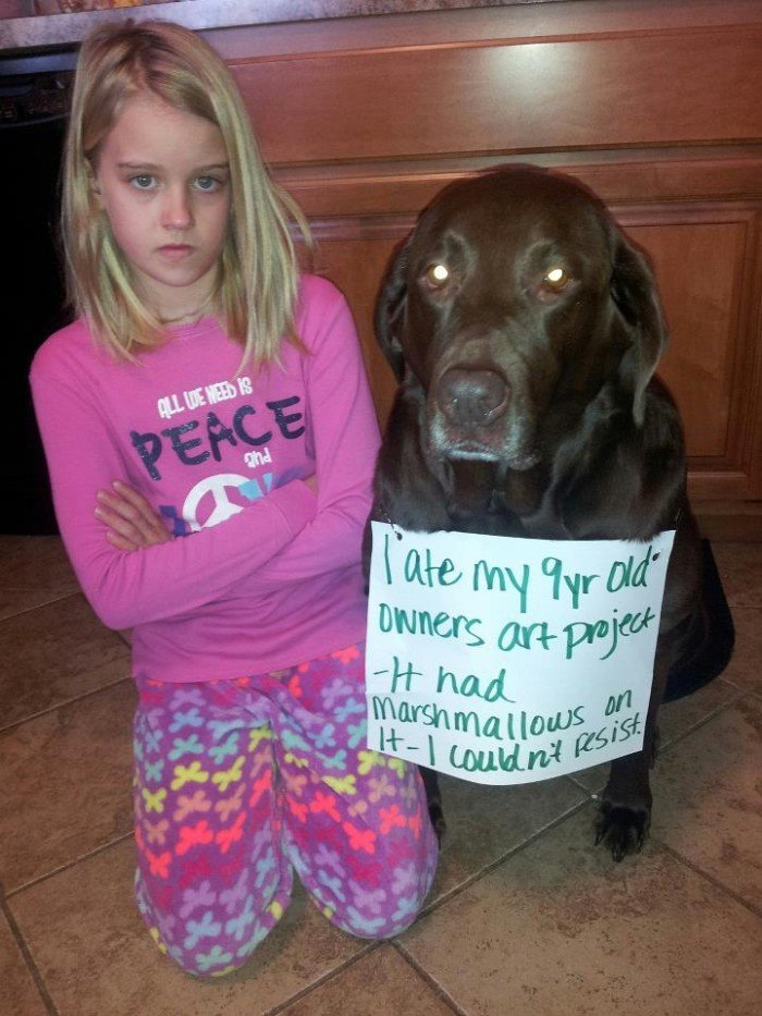Dog Shaming. .. People calling themselves mommy and daddy to their pets