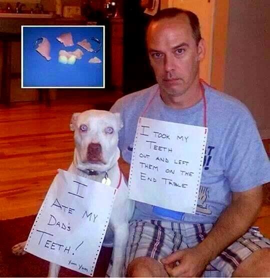 Dog Shaming. .. People calling themselves mommy and daddy to their pets
