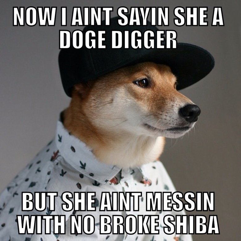 doge. .. I NEED to breed Doge!