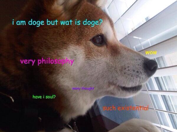 doge. .. I NEED to breed Doge!