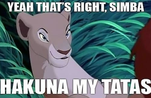 Hakuna+my+tatas_47bf43_4836769.png