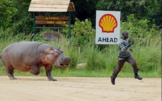 Having a bad day. .. I like how he just lays there for a second accepting his fate