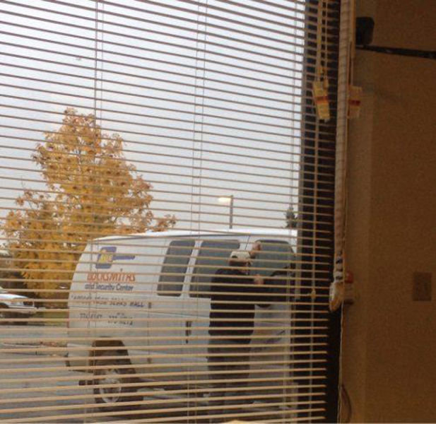 Having a bad day. .. I like how he just lays there for a second accepting his fate