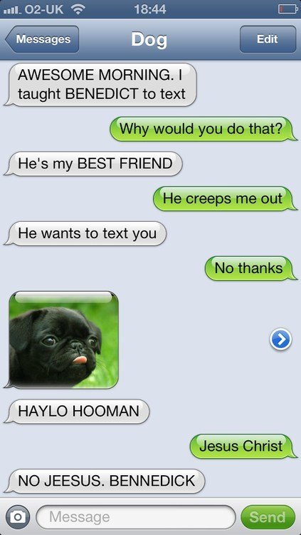 HAYLO HOOMAN HAYLO HOOMAN. Probably a repost, so eat dick . Still funny as . Credit to October Jones for his creation "Text from Dog". . I Messa gas AWESOME MORNIN