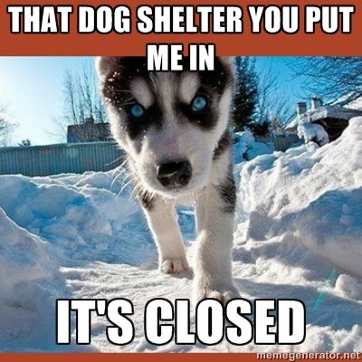 He returns. and what do you know? OC....on FJ. THAT DUI} ' I' EII Will NT ME IN