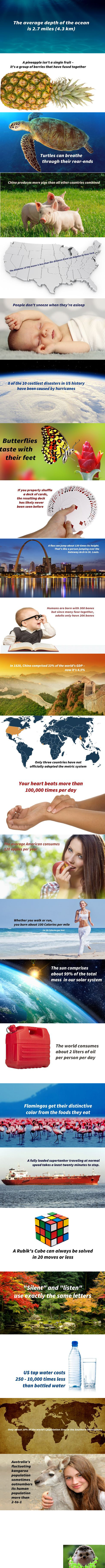 Hmmm... (2) Hmmm... (2). Sorry for long post, I decided to sack the idea of thumb for more and give you all them at once !!! Hope you enjoy some of the facts even though yo