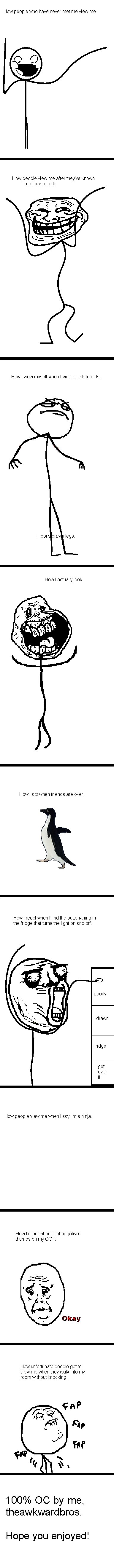 How People View Me. . . How People View Me. . .. Just a little something I thought of when I woke up at 4:18 this morning And yes, this is 100% OC, by me. This actually took me a prett
