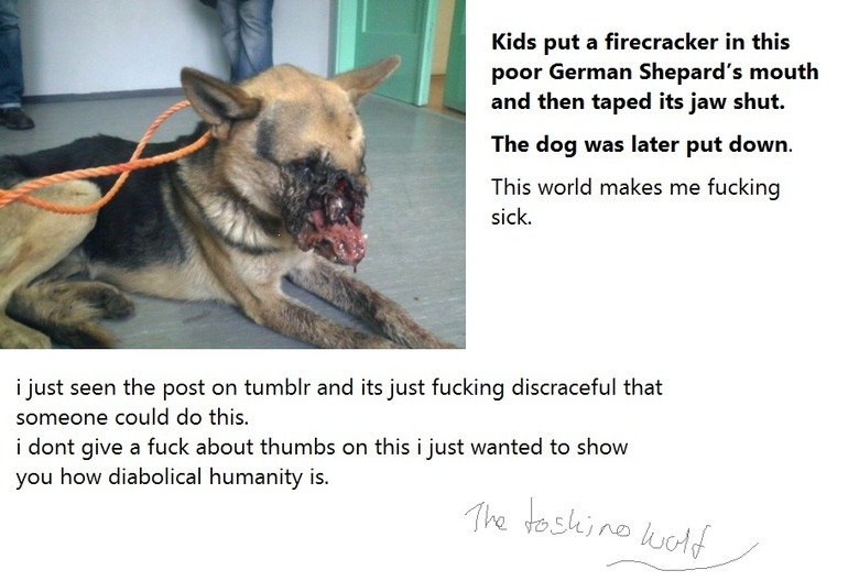 humanity at its best humanity at its best. edit top 100 guys thanks for this its just a shame we cant do anything to help this poor dog and all the ther animals that are killed ard