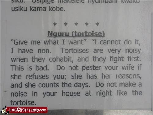 Lolwut? 2 Lolwut? 2. i take no credit. i got it from egrishfunny. i will post more if you guys want.<br /> #1: /funny_pictures/585559/Fried+Rape/. Men Kama knee. it