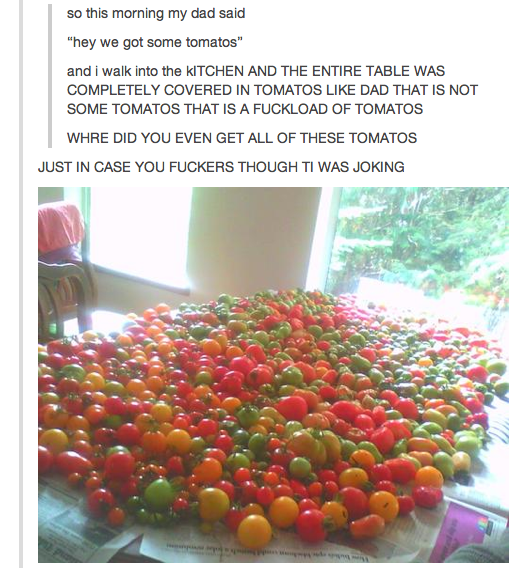 Looks Like We Have Some Tomatoes Looks Like We Have Some Tomatoes. This is a screenshot of a comment thread from the website " " It features one single person telling the story of how