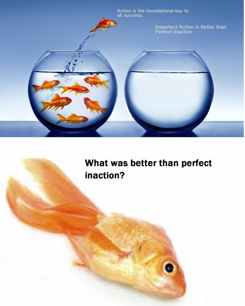 Perfect Inaction Perfect Inaction. I saw this while looking for pictures to add captions to when I stumbled upon this neat little motivational with goldfish. "Imperfect act