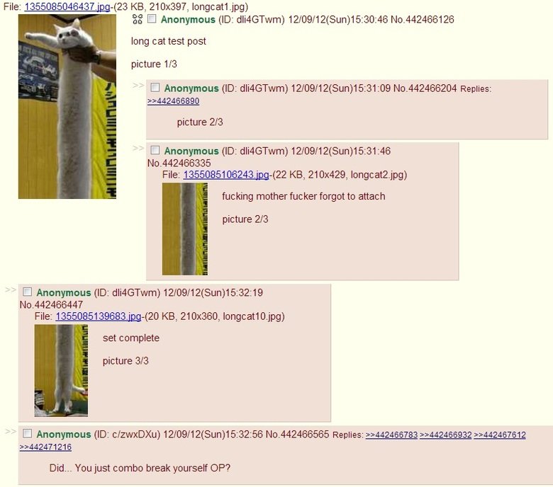 Plundering 4chan Plundering 4chan. Because our own material is garbage. Also breaking rules 1 and 2: . File: -( 23 KB, 210x397, longcats, ipg) long cat test post picture 1/ 3 Au