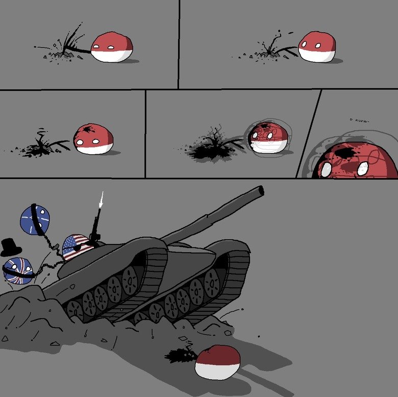 Polandball Comp. . tyr.. Someone made a Floridaball I feel like this opens the door to things we didn't need to see