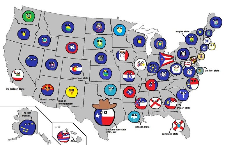 Polandball Comp. . tyr.. Someone made a Floridaball I feel like this opens the door to things we didn't need to see