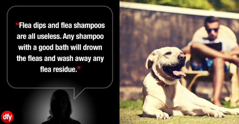 Professionals reveal tricks 1. . dht Once you' got your prescription, order glasses mine from Zenny Optical for instead of paying at the optician.. "Okay, and what address will we be shipping the replacement card to?"