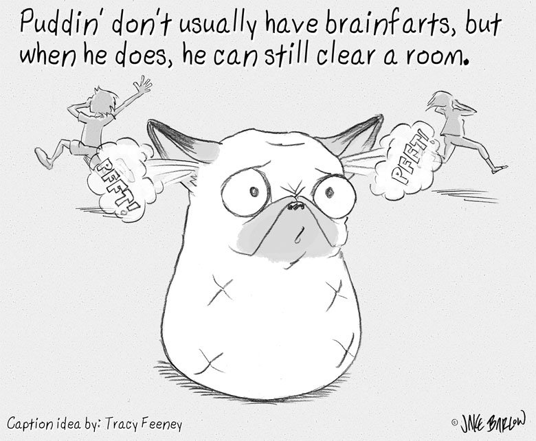 Puddin'. . Puddie/ darn? have at ohor’ . of techniques For waken people bounce" be fhe mart effective,