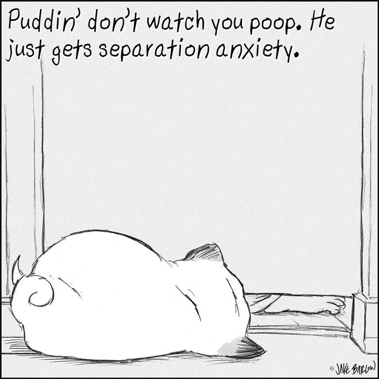 Puddin'. . Puddie/ darn? have at ohor’ . of techniques For waken people bounce" be fhe mart effective,