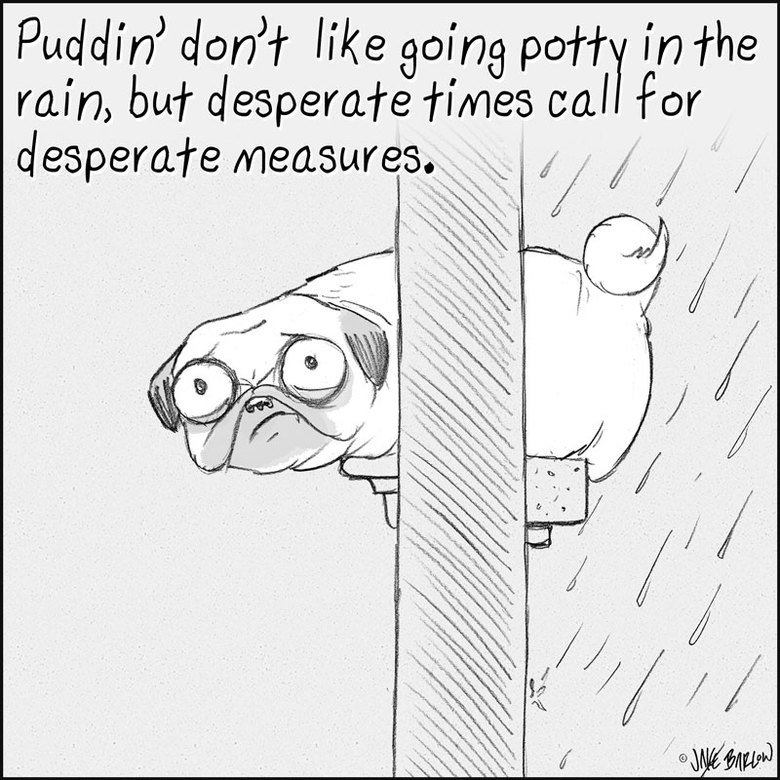 Puddin'. . Puddie/ darn? have at ohor’ . of techniques For waken people bounce" be fhe mart effective,