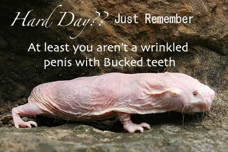 take this to heart friends take this to heart friends. What is that? That freaky thing? Yes that's right, it's a Naked Mole Rat! Hey wait, I can't hear the girls sing! Listen to the Naked