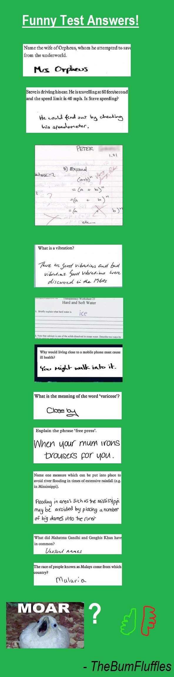 Test Answers Comp Test Answers Comp. OC by me... hope you like, i <3 you funnyjunk TEST ANSWERS PT 2: /funny_pictures/2376625/Test+Answers+Comp+Part+2/. Funny Test Answers! bl