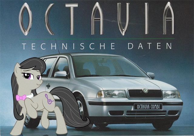 That+is+my+car+description+lies+octavia+