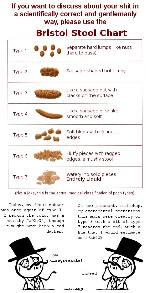The Bristol Stool Chart The Bristol Stool Chart. OC by me (Bristol Stool chart taken from Wikipedia) And if you don't believe that this is real: en.wikipedia.org/wiki/Bristol_Stool_sca