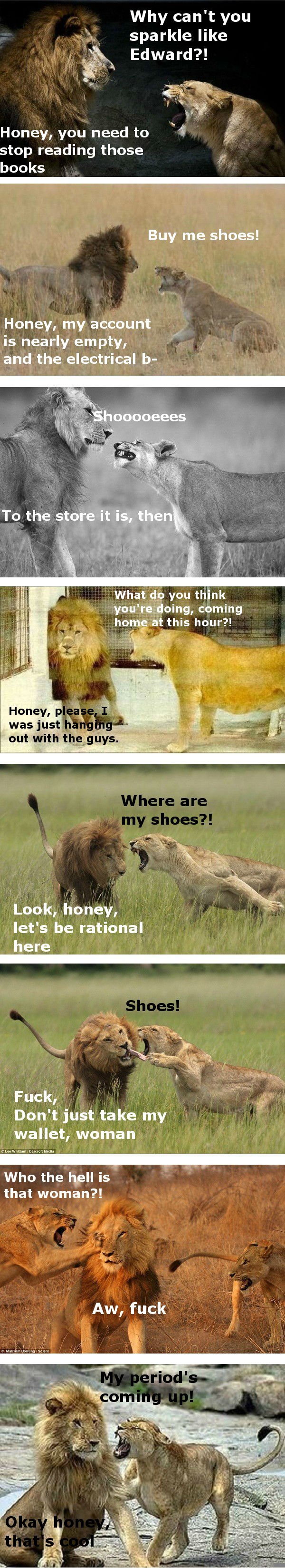 The life of a married man The life of a married man. Married men have to deal with some ... Original image: /funny_pictures/3176825/King+of+all+animals/ The text is OC. Why can' t you r.