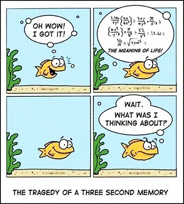 The+tragedy+of+a+three+second+memory_b41