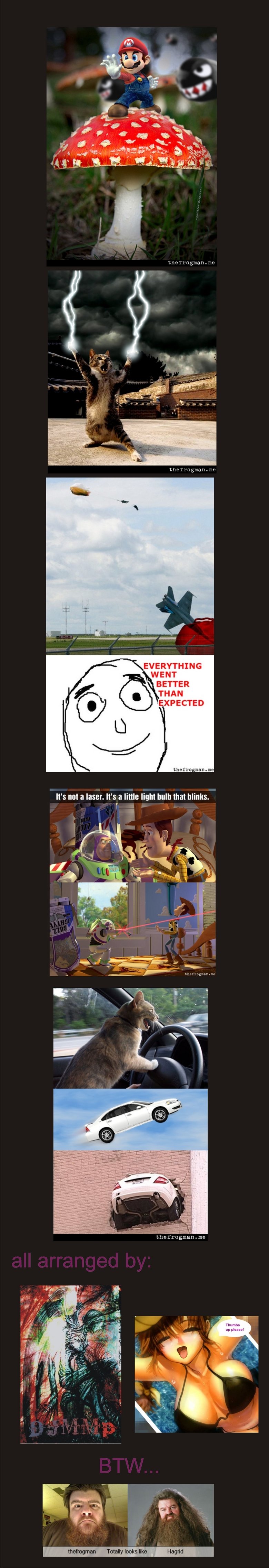 The Frogman Page 1 The Frogman Page 1. this dude is funny so i made a comp of some of his stuff.<br /> i will make more if you guys like it enough.<br /> the second on