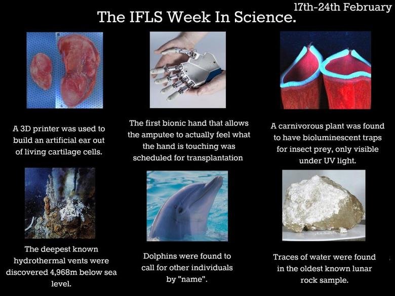 This week in science This week in science. 3D Ear huff.to/YGgkTS Bionic hand ind.pn/XneTZn Bio luminescent traps bbc.in/WO1zz5 Hydro thermal vents bbc.in/158oTLq Dolphins Moon Rock