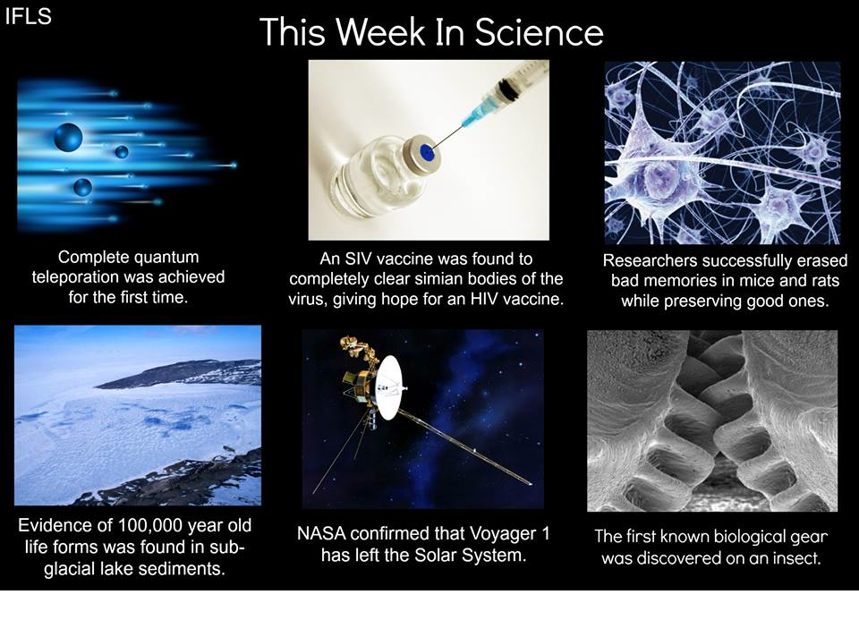 This Week In Science (9/16/13) This Week In Science (9/16/13). Quantum teleportation: SIV vaccine success: http://www.the-scientism/?articles.view/articleNo/37473/title/SIV-Vaccine-Success/ E