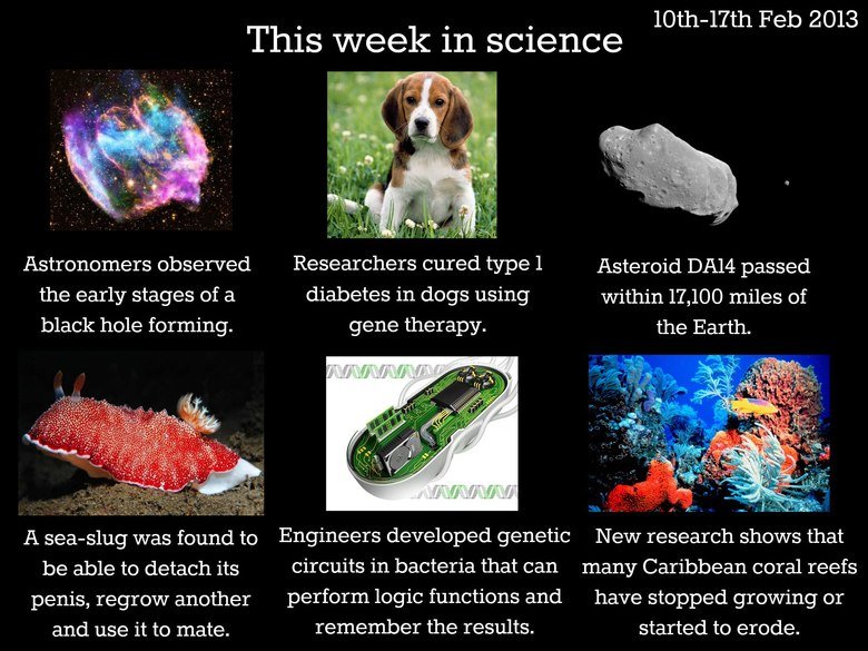 This week in science This week in science. Black hole forming: Diabetes cured in dogs: Detachable penis: Asteroid: Synthetic biology circuits: Coral reef die off: Got this from I lo