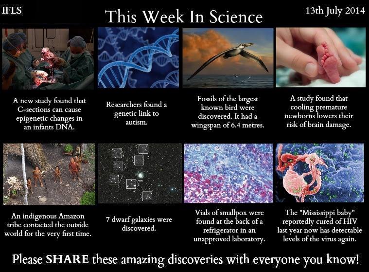 This week in science | July 13 2014 This week in science | July 13 2014. C-section: Autism: Bird: Premature infants: Tribe: Dwarf galaxies: Smallpox: HIV: . ms This Week In Science A new study fou