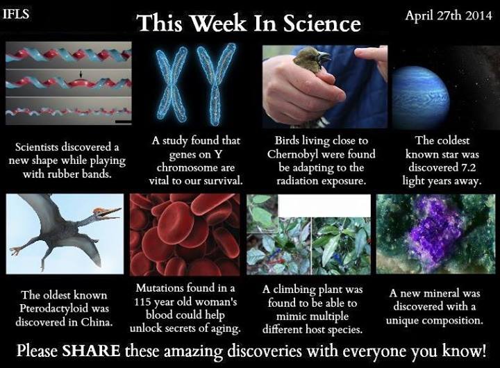 This week This week. New shape: Y chromosome: Chernobyl: Coldest star: Pterodactyloid: Aging: Mimic plant: Mineral: . This Week In Science Al Ft 27th F as A foind that Bi