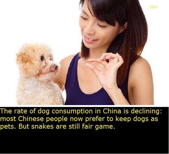 Time to learn about China. According to North Korea, China is the only country in the world who surpasses them. It's not hard to see why with these facts.. Chin