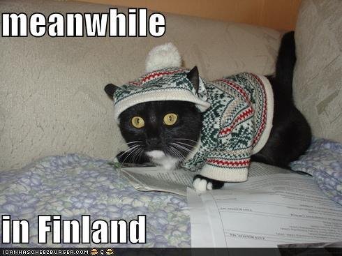 Time for Caturday. .