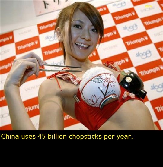 Time to learn about China. According to North Korea, China is the only country in the world who surpasses them. It's not hard to see why with these facts.. Chin