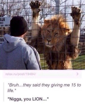 Time for Caturday. .