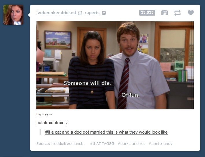 Tumb5r. Probably gonna have to open this one in a new tab. Didn't know it was gonna load up so small on here.. This is such a stupid joke but damnit it made me 