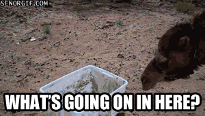 4024596+_e1914a6a2740f693bc22d020a7cd863