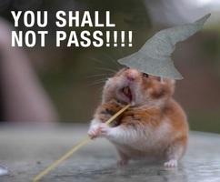 4576097+_fba5c4b82f3ae5a3260ff7c90bf1c28