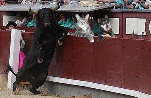 How+interesting+tell+us+more+please+_c88