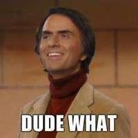 That+is+the+stupidest+thing+i+ve+ever+se