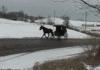 amish ski