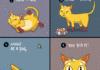 How to be a cat