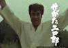 The power of Segata Sanshiro