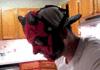 Darth maul mask vs. cat