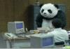 AngryPandaMan