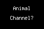 Animal Channel?